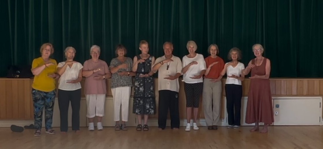Tai Chi practice video 3