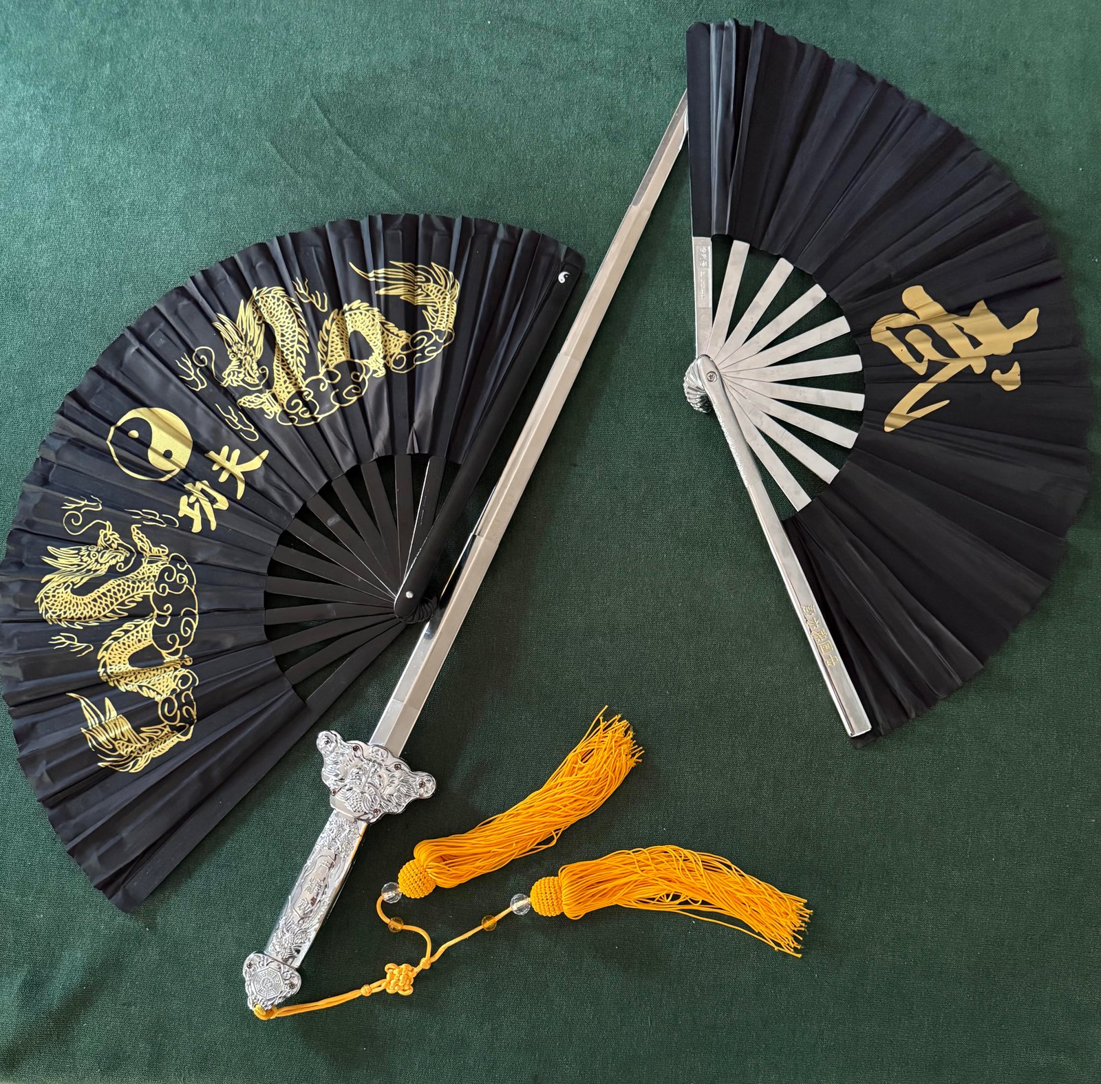 Tai Chi Yang Style
